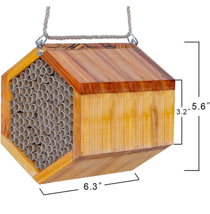 Backyard Pollinator Kit Gift Box